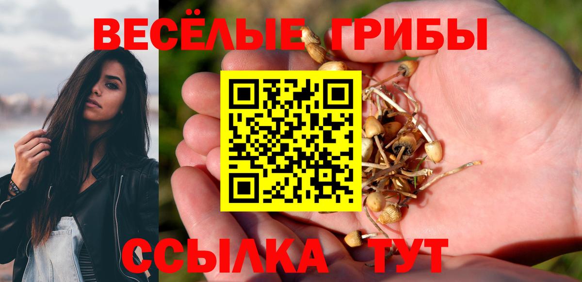 Сокол  Псилоцибиновые грибы ЛСД  Вход с VPN  Галлюциногенные грибы мухоморы 