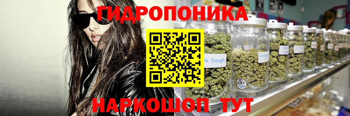 Сокол  Канабис VHQ  Вход с VPN  Марихуана марихуана  Каннабис ГИДРОПОН 